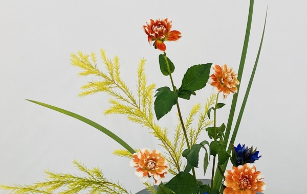 生け花教室の開演